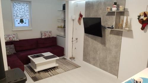 Koplietošanas atpūtas telpa ar TV, Apartman "HARMONY" Šišava Vlašić (Apartman "HARMONY" Sisava Vlasic) in Šišava