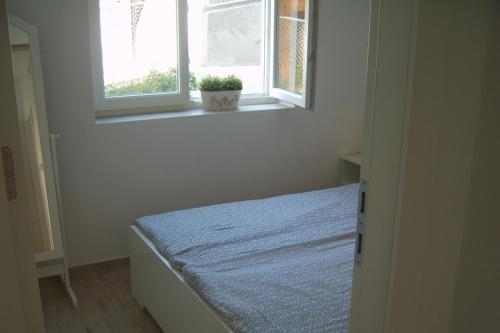 One-Bedroom Apartment with Terrace image 9