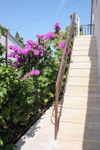 Apartments with a parking space Supetar Brac - 5653 - image 7