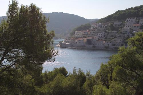 Seaside apartments with a swimming pool Pucisca Brac - 5637 - image 12