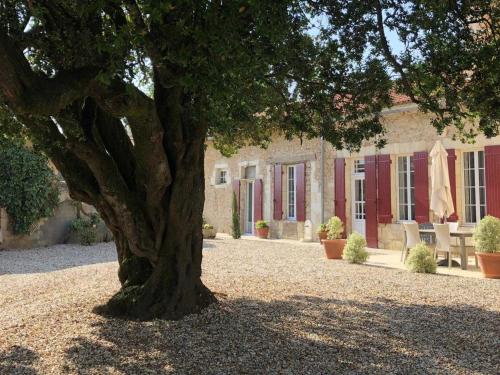 Gîte Laroque, 3 pièces, 4 personnes - FR-1-440-190
