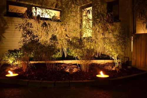 B&B Luxe Kamers Noord-Zuid - image 13