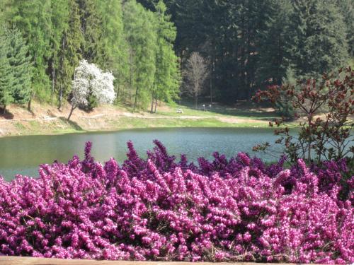 L'incontro chambre d'hôte Alice Superiore