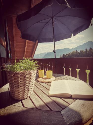 Ferienwohnung Reinbrechthof in 安加