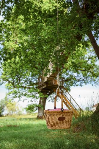 Cabane Perchée dans les Arbres