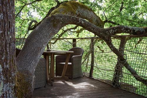 Cabane Perchée dans les Arbres