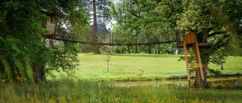 Cabane Perchée dans les Arbres