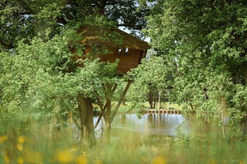 Cabane Perchée dans les Arbres