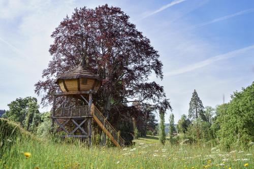 Cabane Perchée dans les Arbres