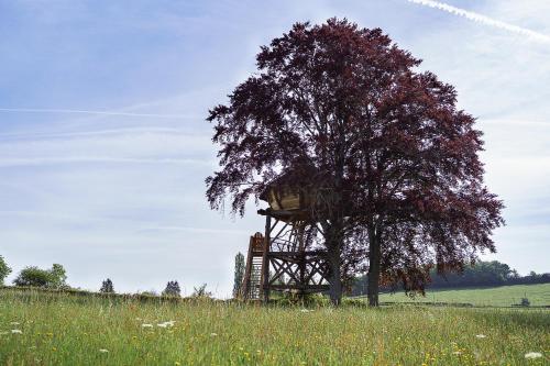 Cabane Perchée dans les Arbres