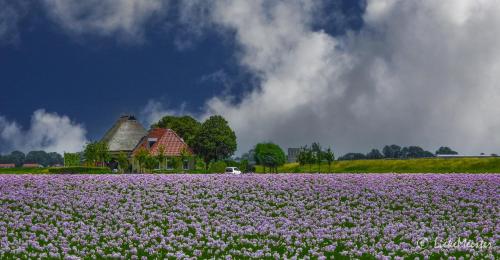  Oppe Klincke, Pension in Franeker