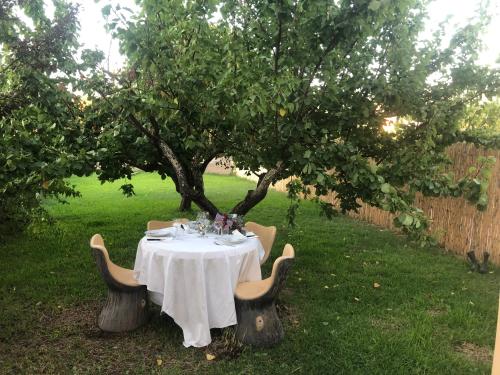 Skats, Casa giardino santadi in Santadi