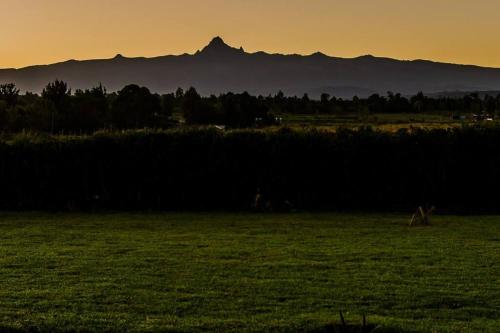 The Landing Nanyuki - One Bedroom Guest house in Nanyuki