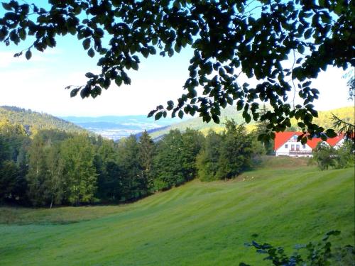Koralowa Ścieżka – Jelenia Góra, SD