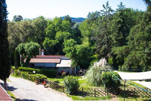 Residence Oasis