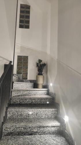Novara 3