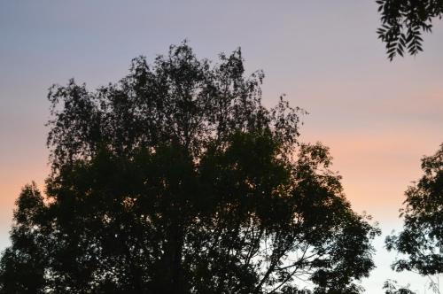 บริการและสิ่งอำนวยความสะดวก, Chalet Bosrust in โวฟฮีซ