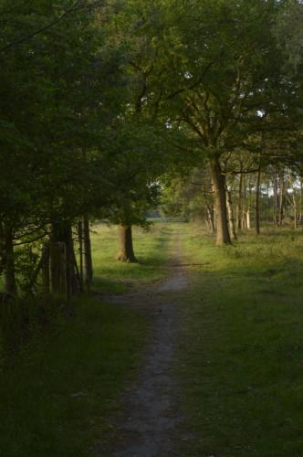 บริการและสิ่งอำนวยความสะดวก, Chalet Bosrust in โวฟฮีซ