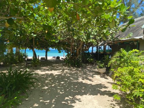 plage, Secret Cabins at Firefly Beach Cottage in Negril