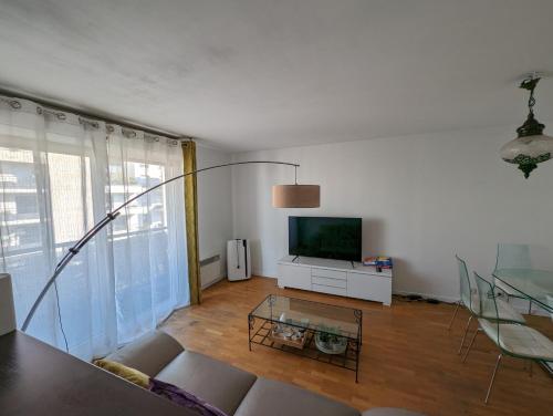 Appartement lumineux Seine, île St-Germain, proche Porte de Versailles et la Défense - Location saisonnière - Issy-les-Moulineaux