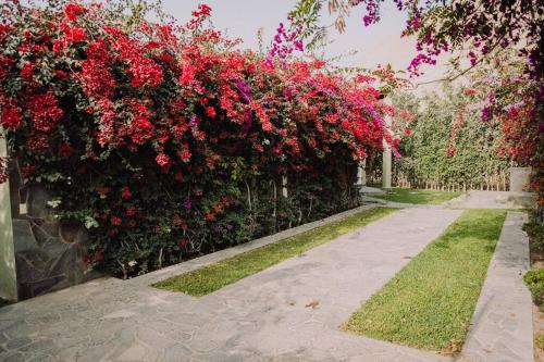 Casa de Campo en Cieneguilla