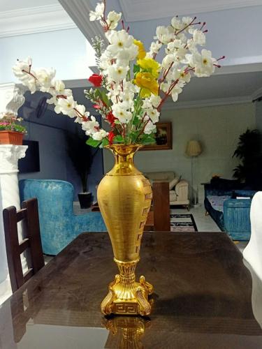 فاكانزا شقة فندقية مفروشة- vacanze in Senoures