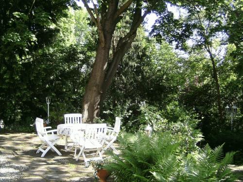 Leisewitz' Garten - main image