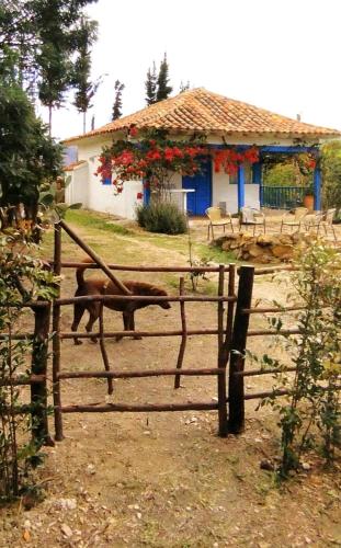 El Oteo Tiny house.