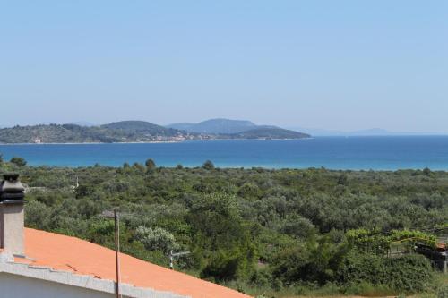 Apartments with a parking space Tribunj Vodice - 6223 - image 10