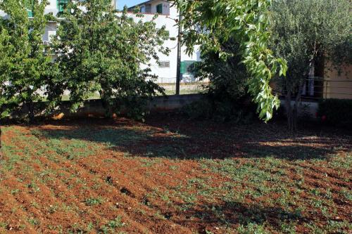 Holiday house with a parking space Sukosan Zadar - 6218 - image 7