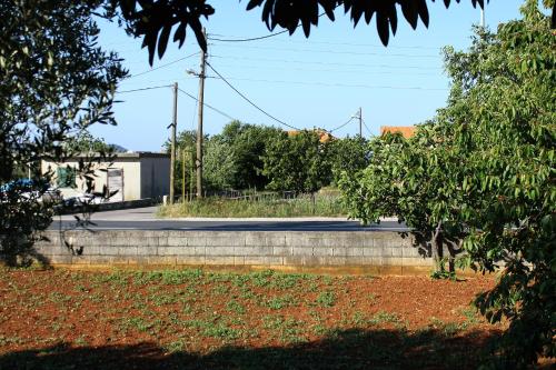 Holiday house with a parking space Sukosan Zadar - 6218 - image 3