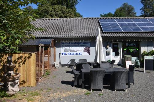 The parrot hotel, live in a rescue animal park in Tappernoje