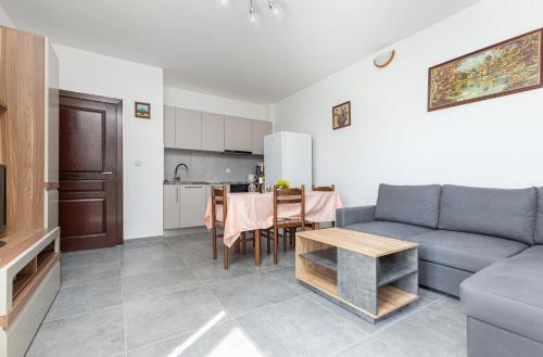 Konyha, Medak in Borik