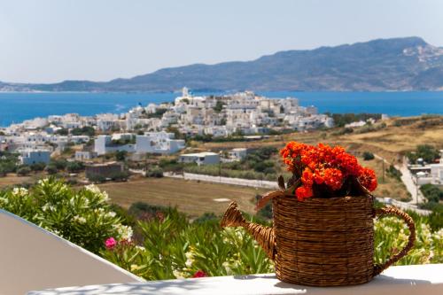 Psilandis Studios, Adamas (foto 3)