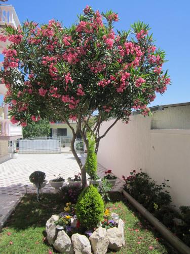 Apartments with a parking space Vodice - 6331 - image 2