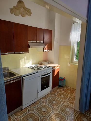 Apartment with Terrace and Sea View image 10