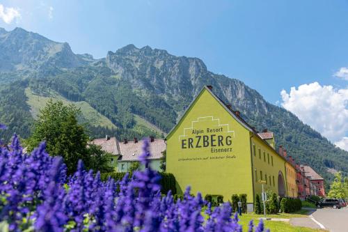 Erzberg Alpin Resort by ALPS RESORTS - Apartment - Eisenerz