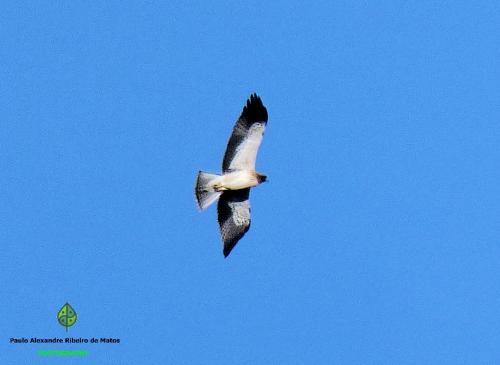 Salto do Lobo - Montain houses with private river Salto do Lobo - Montain houses with private river