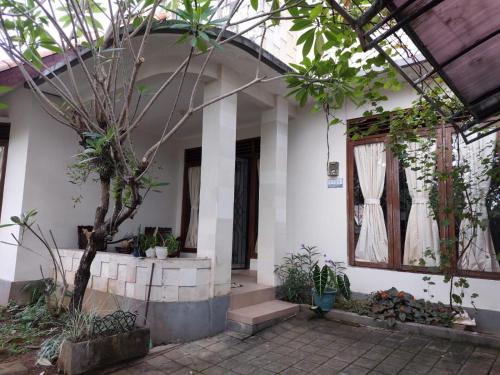 K's House