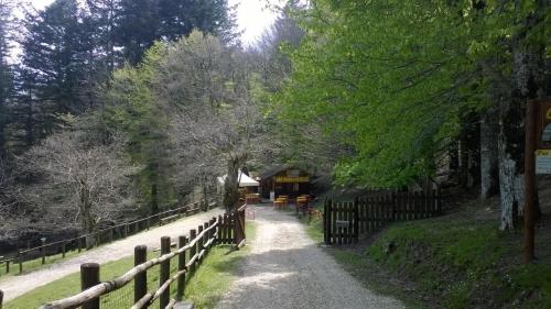 Camping Camaldoli in Серравалле Скрівіа