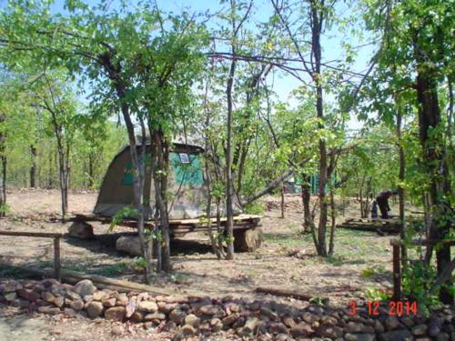 Warthogs Safari Camp