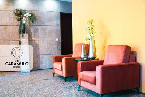 ล็อบบี้, Inn Caramulo Hotel in ตอนเดลา