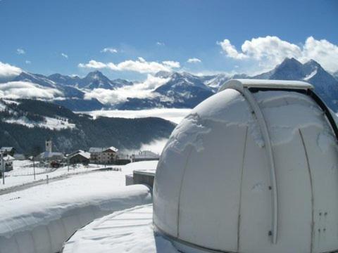 Le Bibelot - image 4