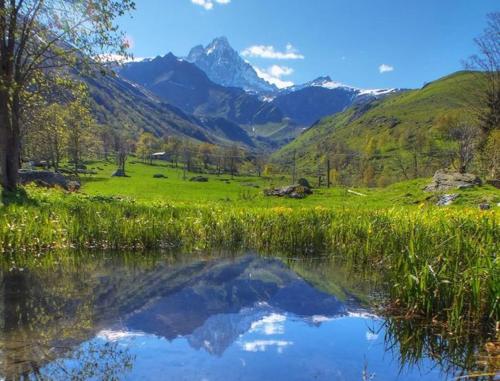 Le Bibelot - image 11