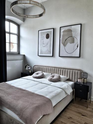 IDYLLA Apartamenty w sercu Wrocławia na Ostrowie Tumskim, Breslau (Foto 3)