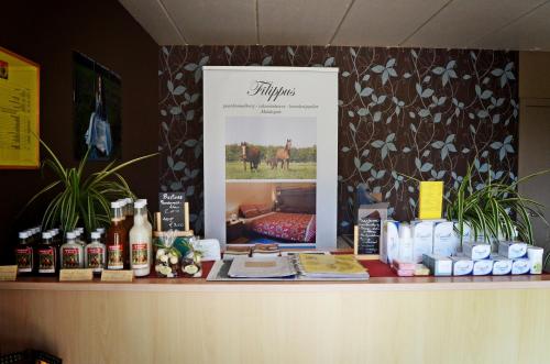 Filippus Vakantiehoeve - image 11