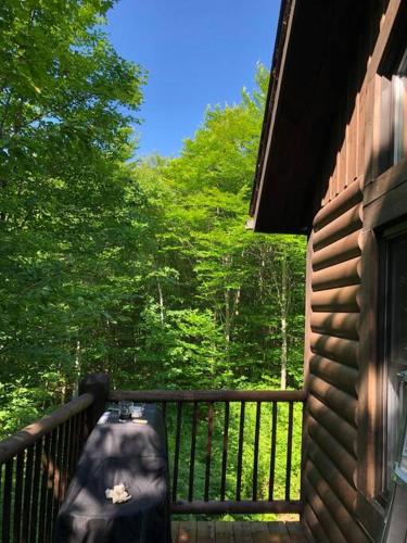 Quiet, cozy and comfortable chalet in Val-des-Lacs (QC)