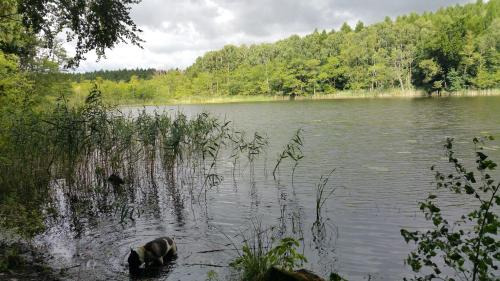 Haus an der Pferdekoppel am Blankenburger See