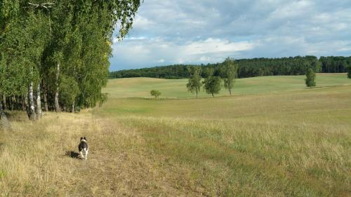 Haus an der Pferdekoppel am Blankenburger See