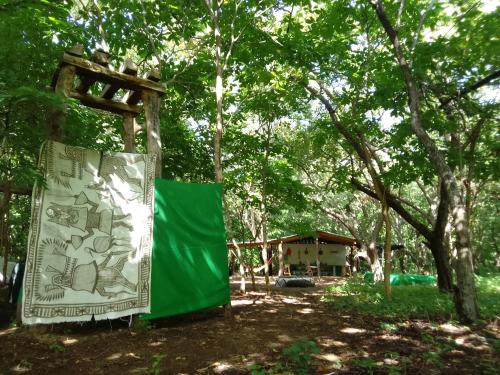 淋浴, El Pirata Caracol in 托拉